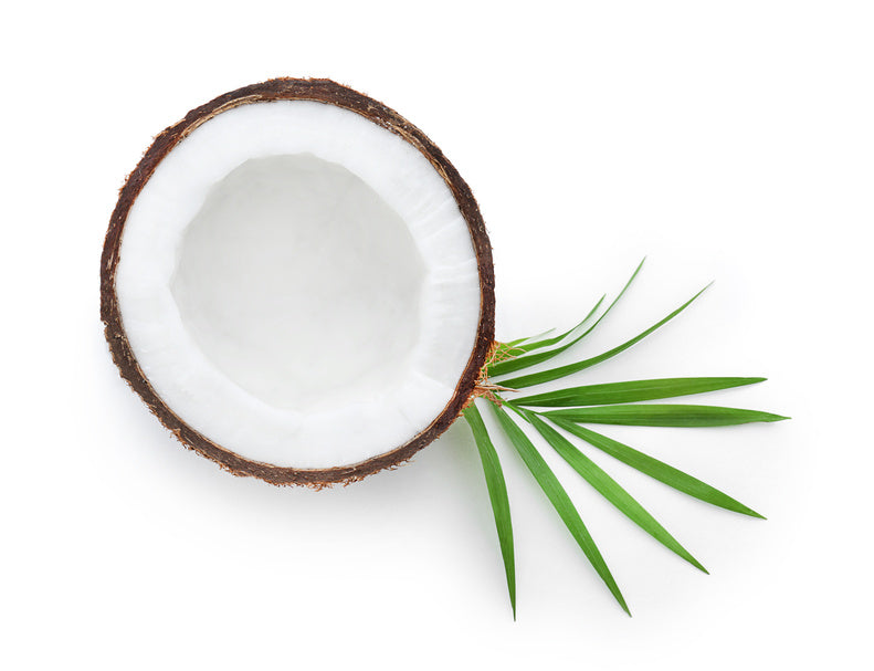Coconut Oil